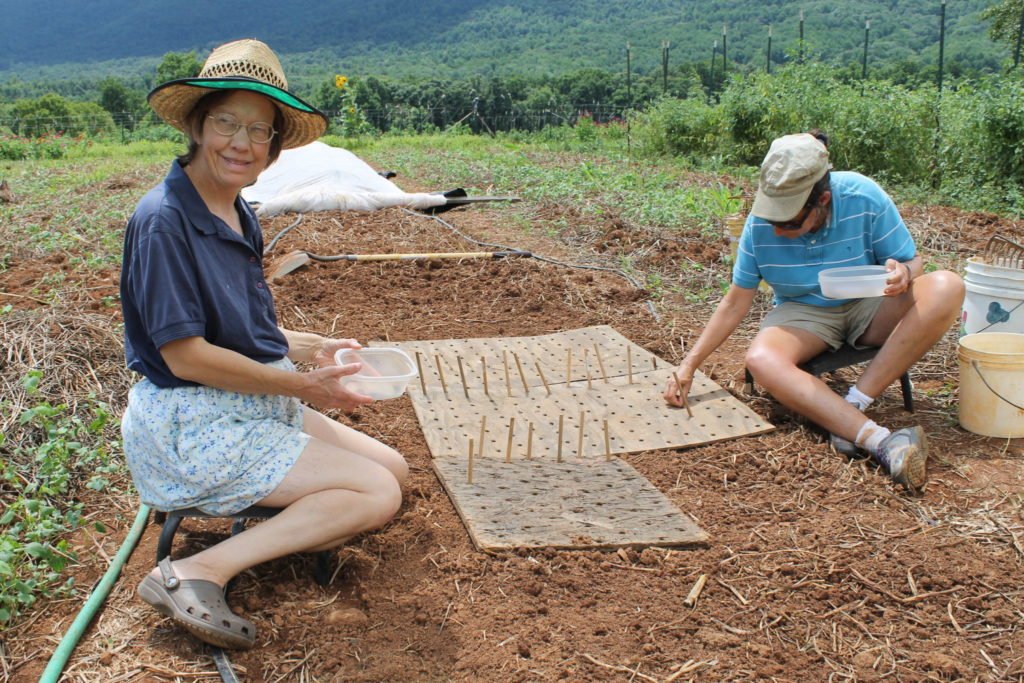 Ellie and Julie participate in a sustainable lifestyle by planting seeds by hand